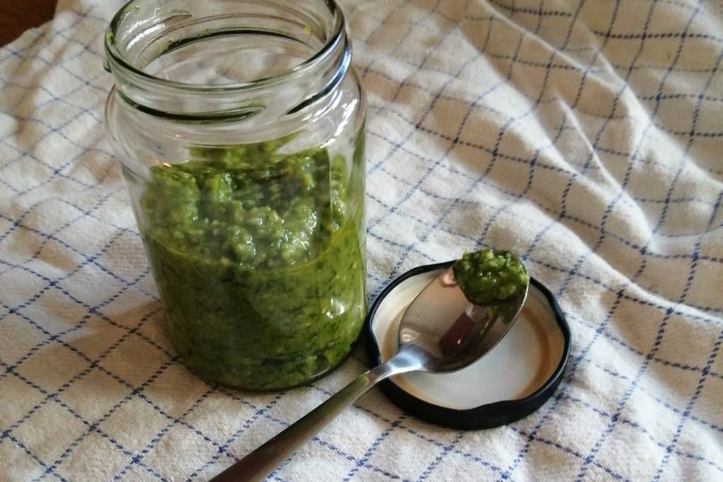 Bärlauch Pesto Rezept