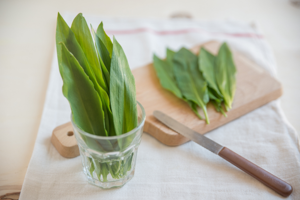Bärlauch haltbar machen 7 einfache Methoden